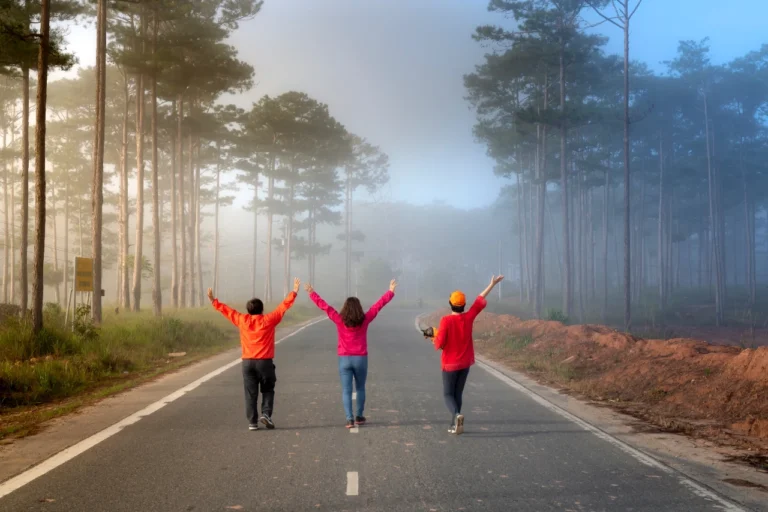 Three people walking on a road surrounded by tall trees, arms raised, in a foggy setting, as if navigating the path to financial clarity with the confidence of a seasoned planner.