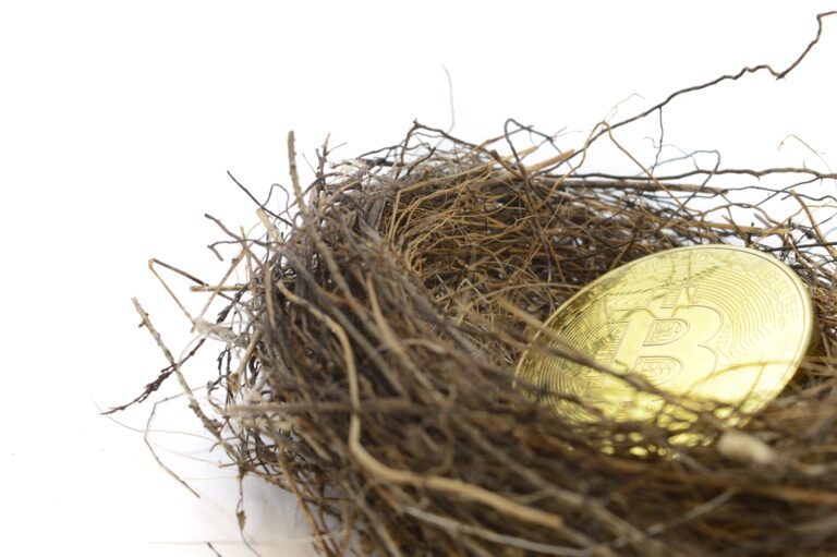 A Bitcoin coin, symbolizing savvy budgeting, rests inside a small, dry bird's nest on a white background.