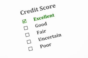 A checklist titled "Credit Score" proudly features "Excellent" checked in green. As you aim to improve your credit score, you'll find options like "Good," "Fair," "Uncertain," and "Poor," each waiting for their boxes to be checked with progress.