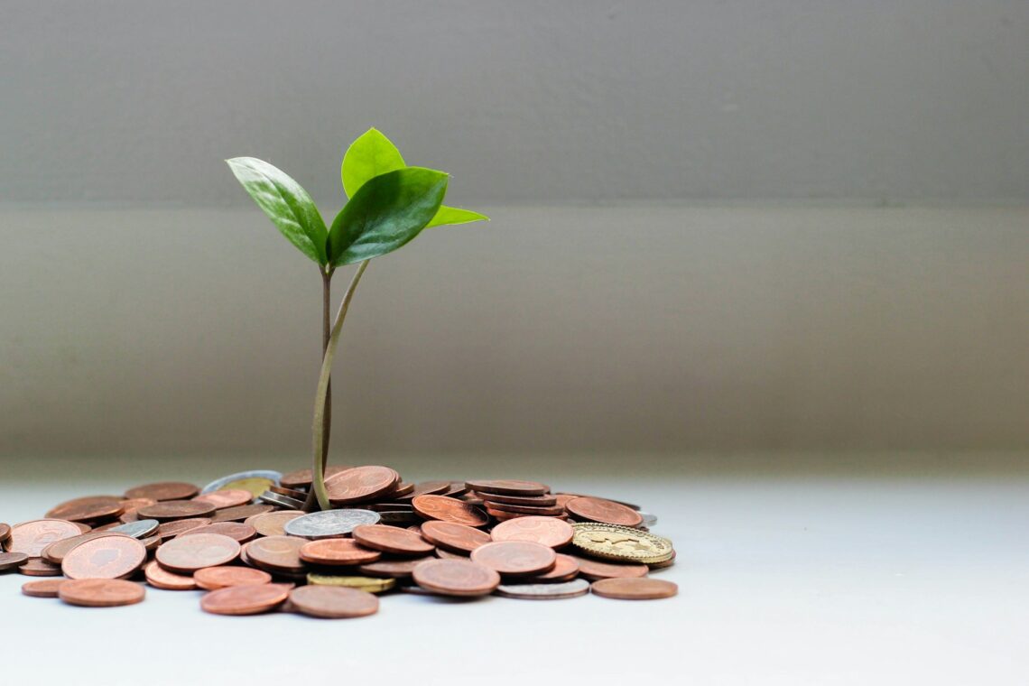 A small plant with green leaves symbolizes the flourishing outcome of sound financial planning, emerging from a pile of coins.