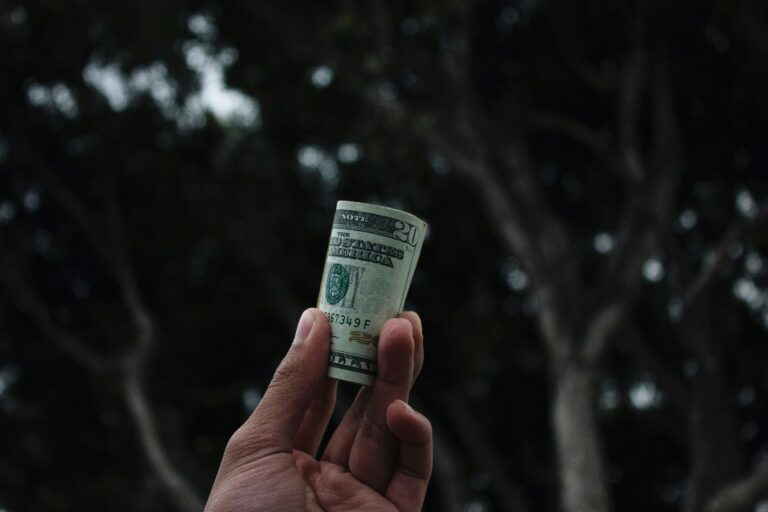 A hand makes smart money decisions, holding a rolled-up twenty-dollar bill against a dark, leafy background.