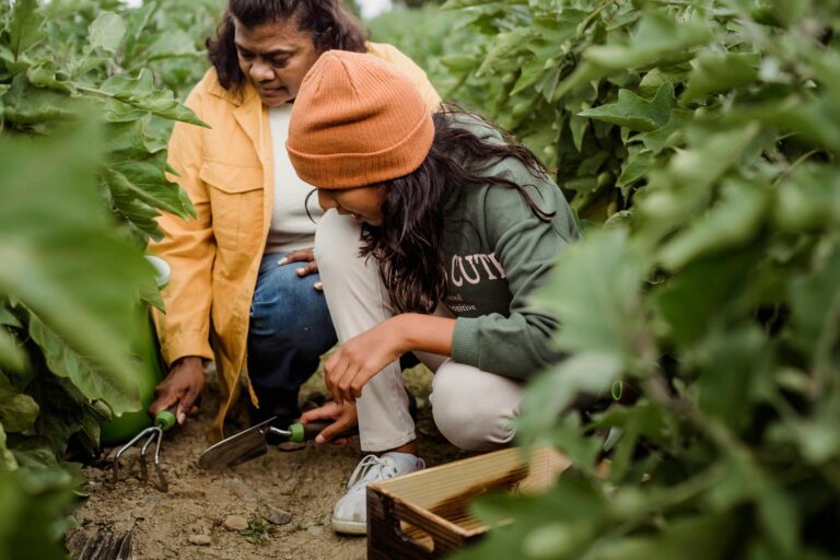Two people kneel among green plants in a garden, using small hand tools to dig in the soil—hard at work for their gardening business. A wooden crate rests on the ground beside them.