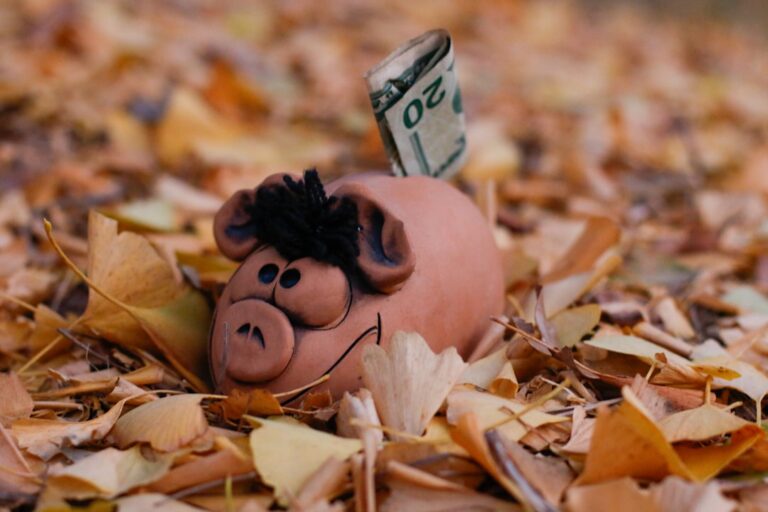 Categories 11 Photo Financial Survival Quiz