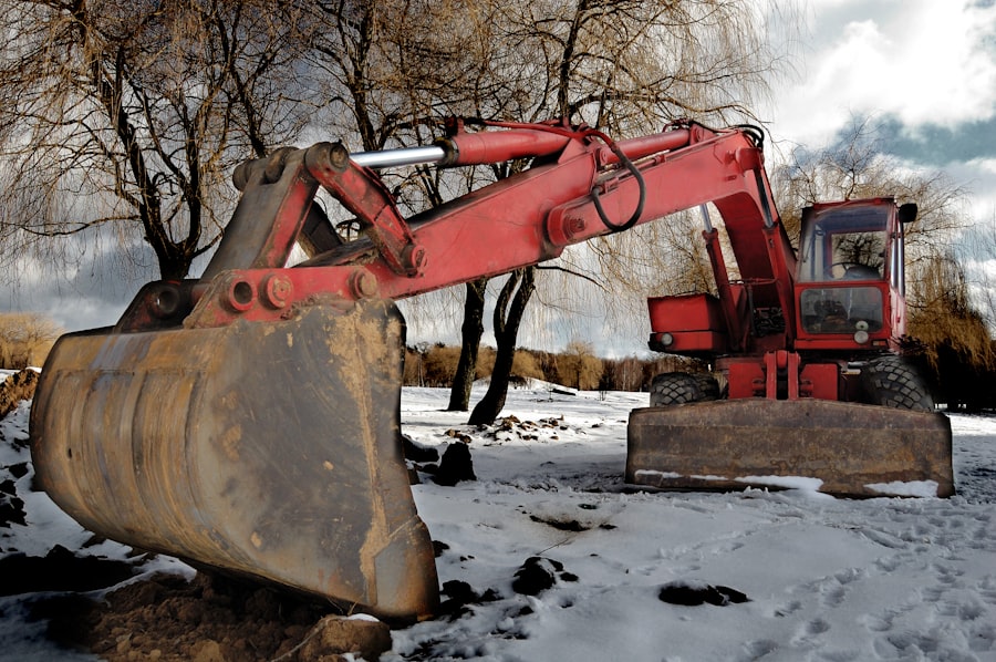 Stump Grinding vs Removal