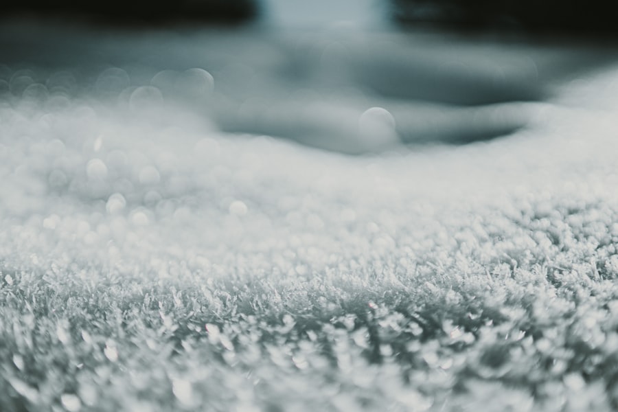 Carpet Cleaning Basics: Methods, Stains, and Maintenance 1 Carpet Cleaning Basics