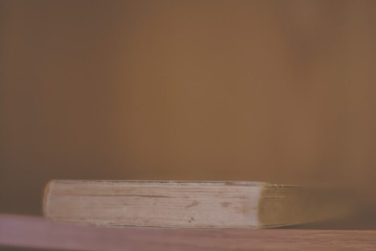 Photo Insurance Deductibles