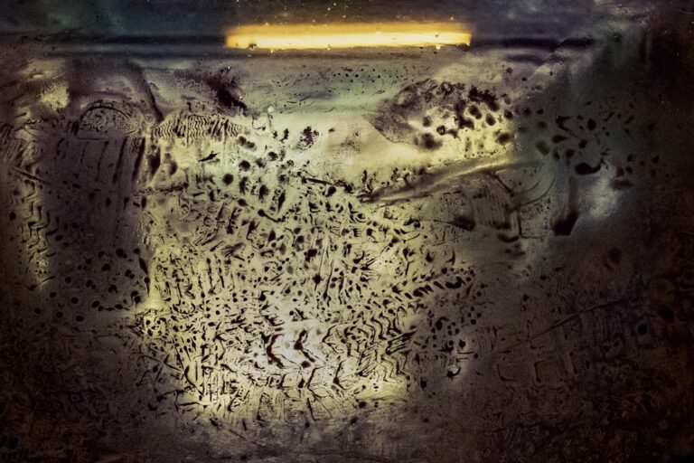 Photo Pest Infestation