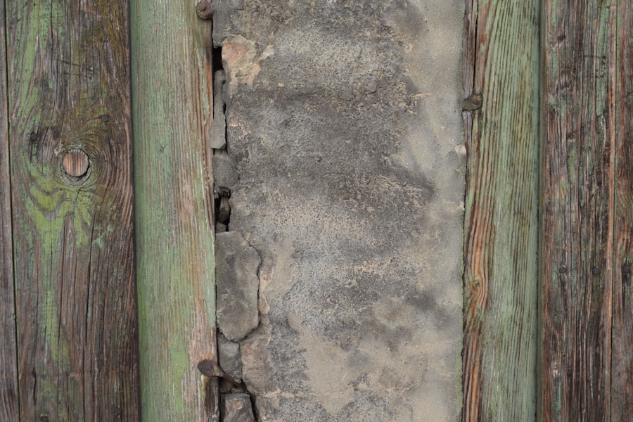 Photo Termite Protection