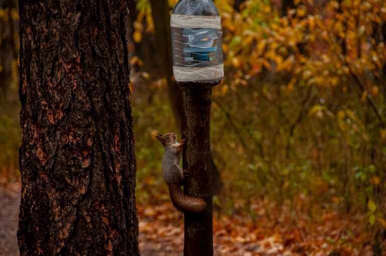 Photo Water Damage Checklist, water damage.