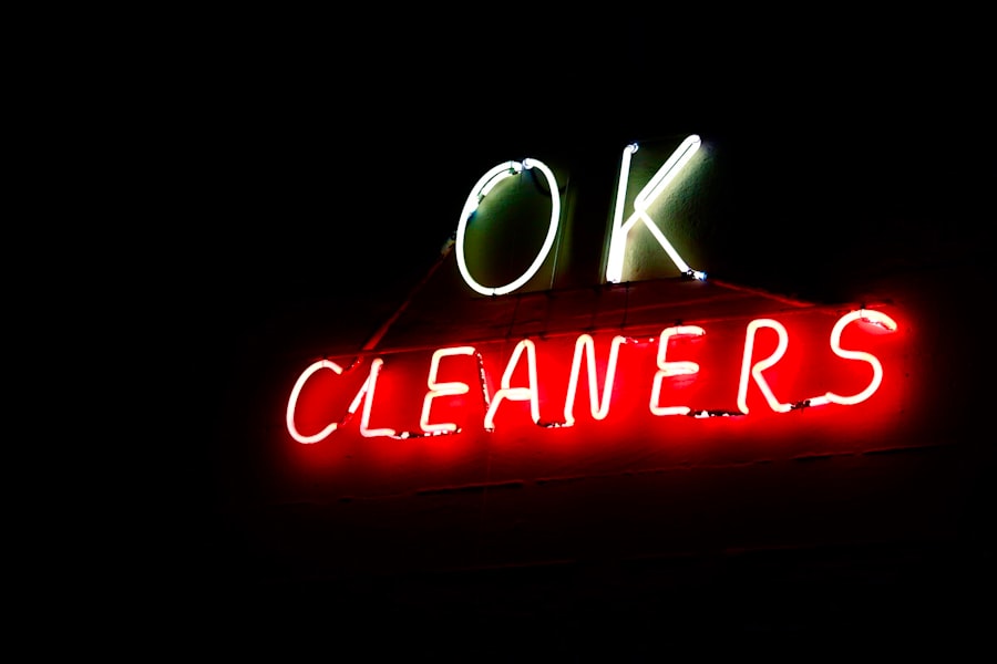Hiring a Cleaner Safely: Background Checks and Insurance 2 Photo Cleaner