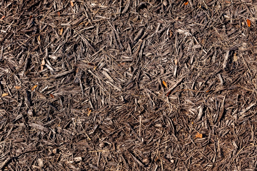 Photo Soil and Mulch