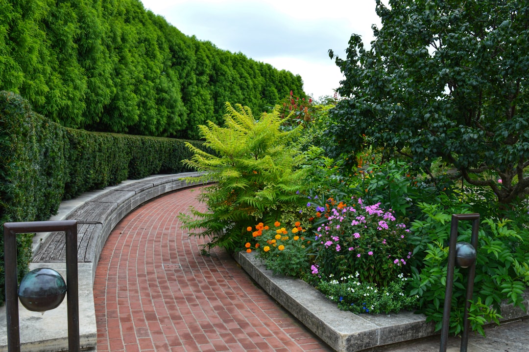 Photo Landscaping, Landscaping on a Budget: Max Impact Projects First