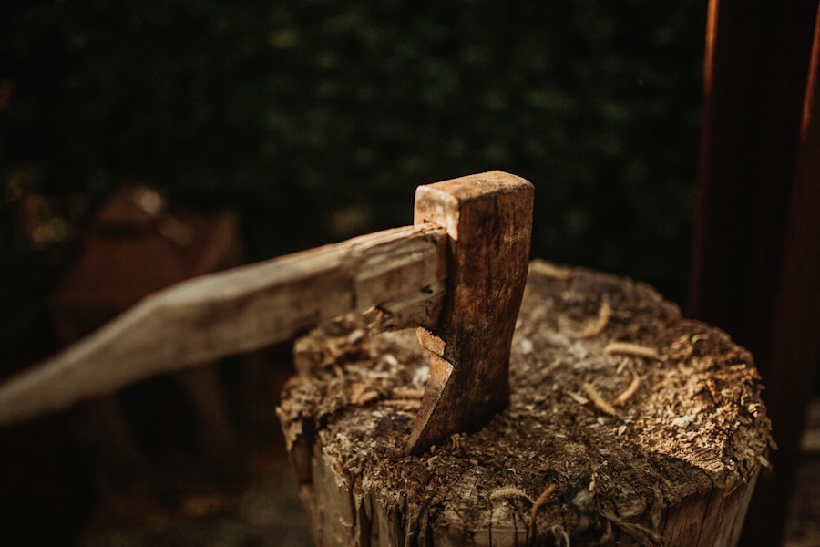 Photo Stump Grinding vs Removal