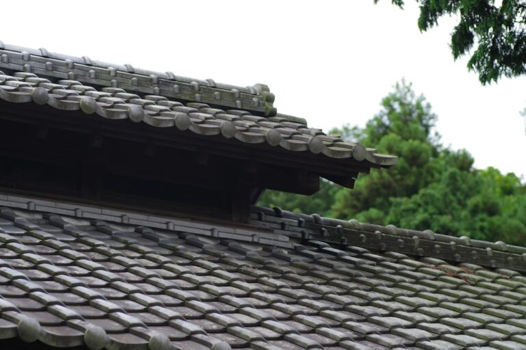 Photo Roof Repair vs Replacement