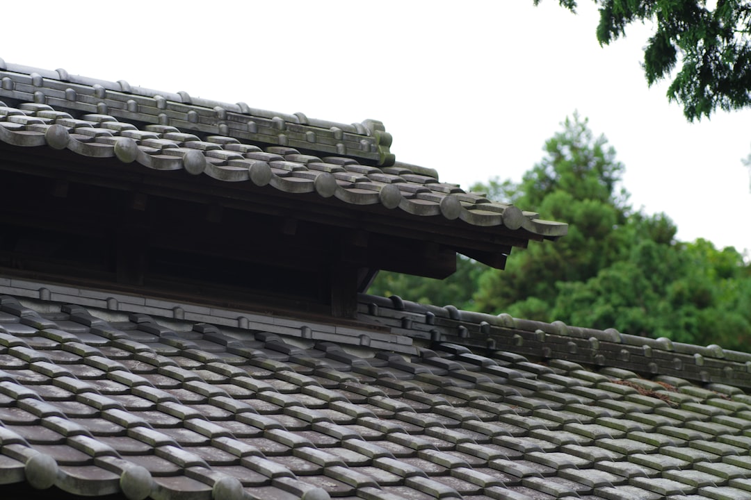 Photo Roof Repair vs Replacement